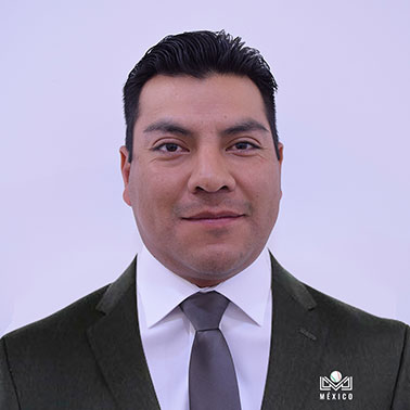 Ulises Domínguez Solís